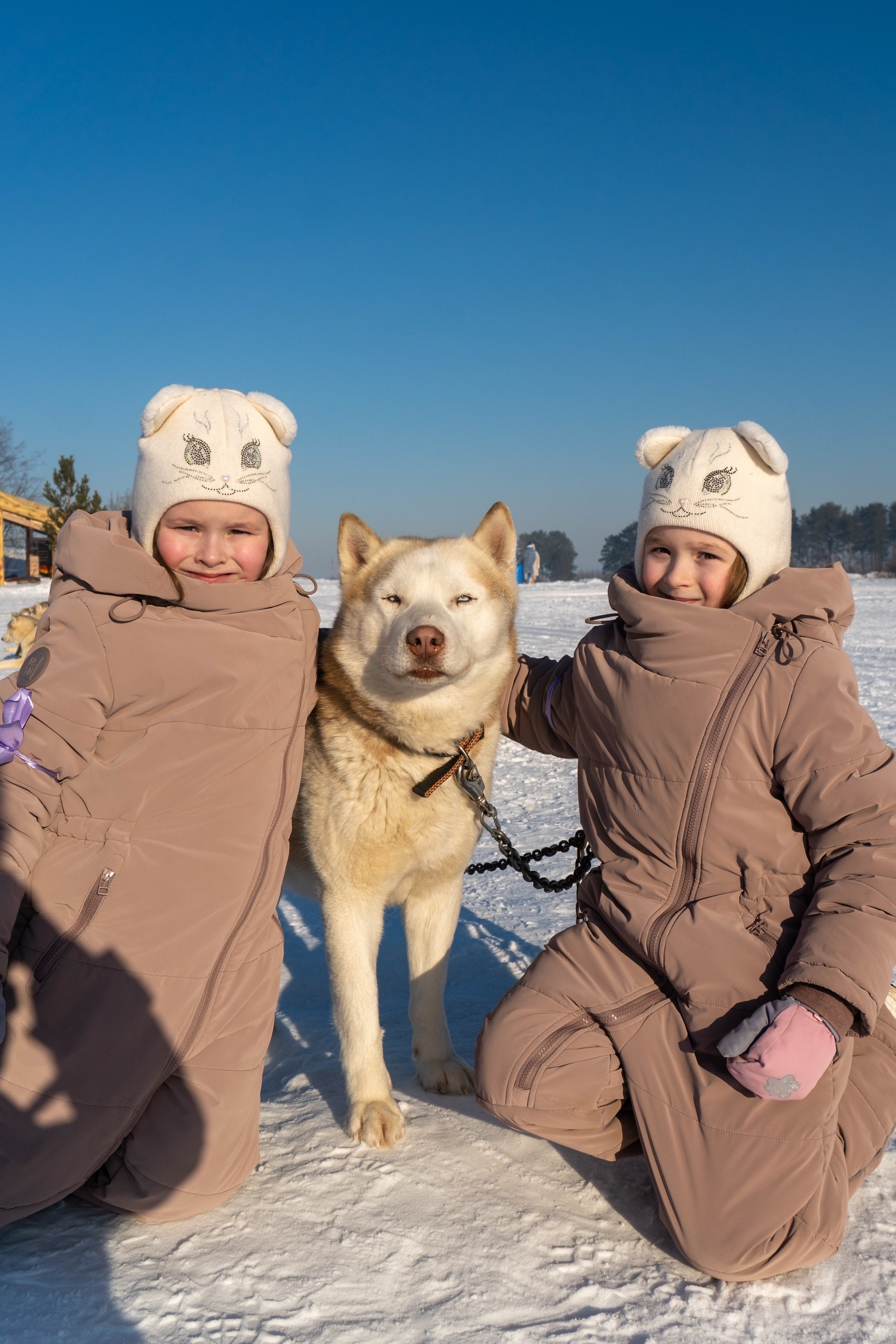 Гости фотографируются с хаски